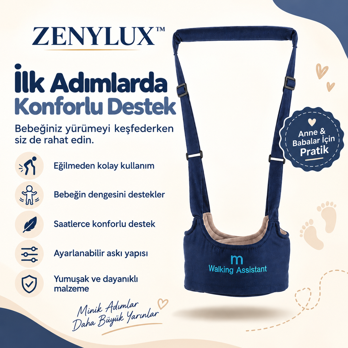 Zenylux İlk Adım Rehberi